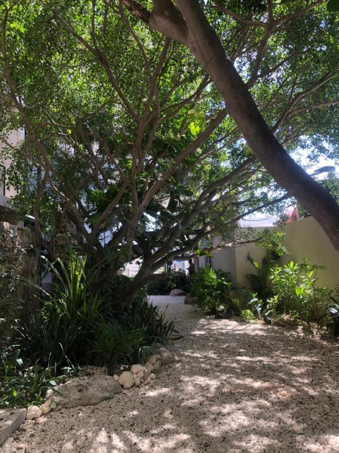 Magnífico Estudio Con Rooftop Cerca De 5ta Avenida Apartamento Playa del Carmen